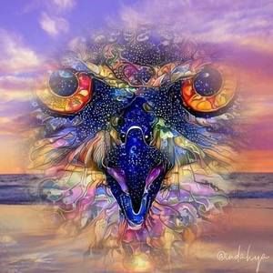 Meet your Posher, Tonya